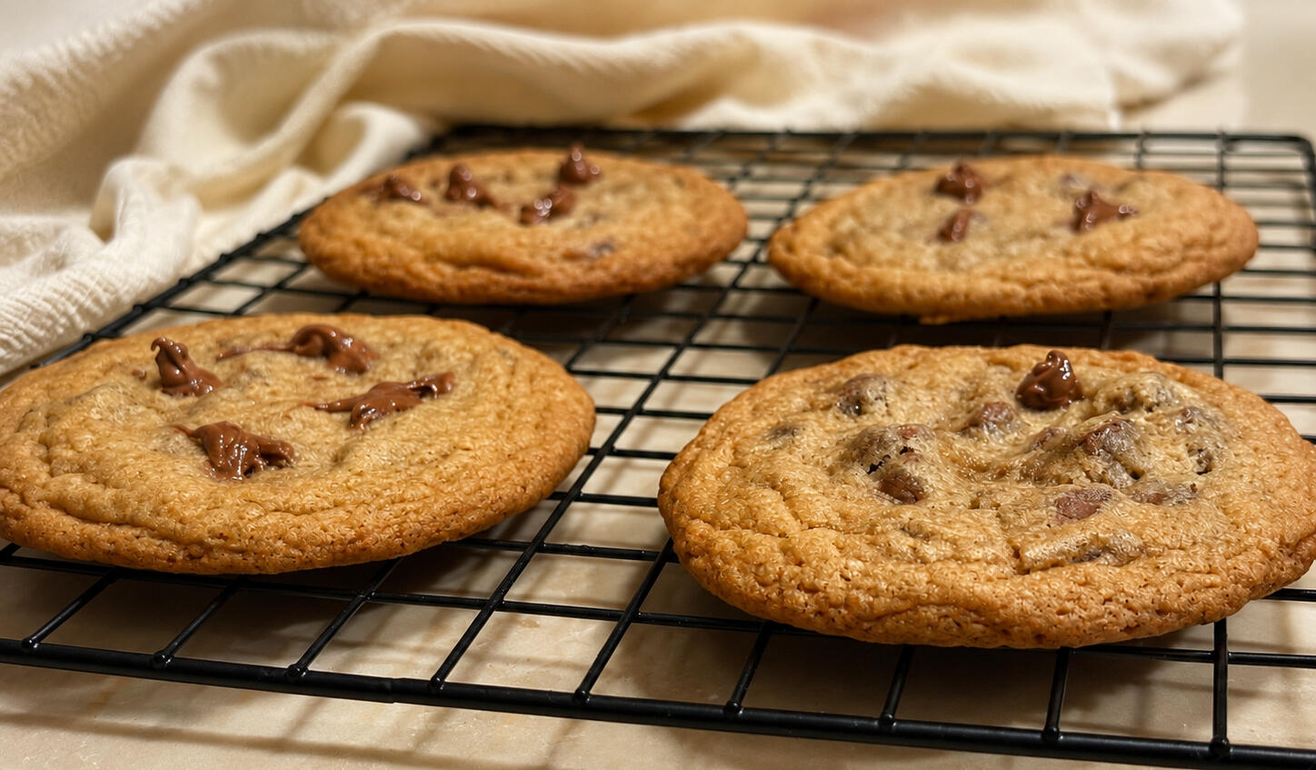 Chocolate Chip Chocolate Chip